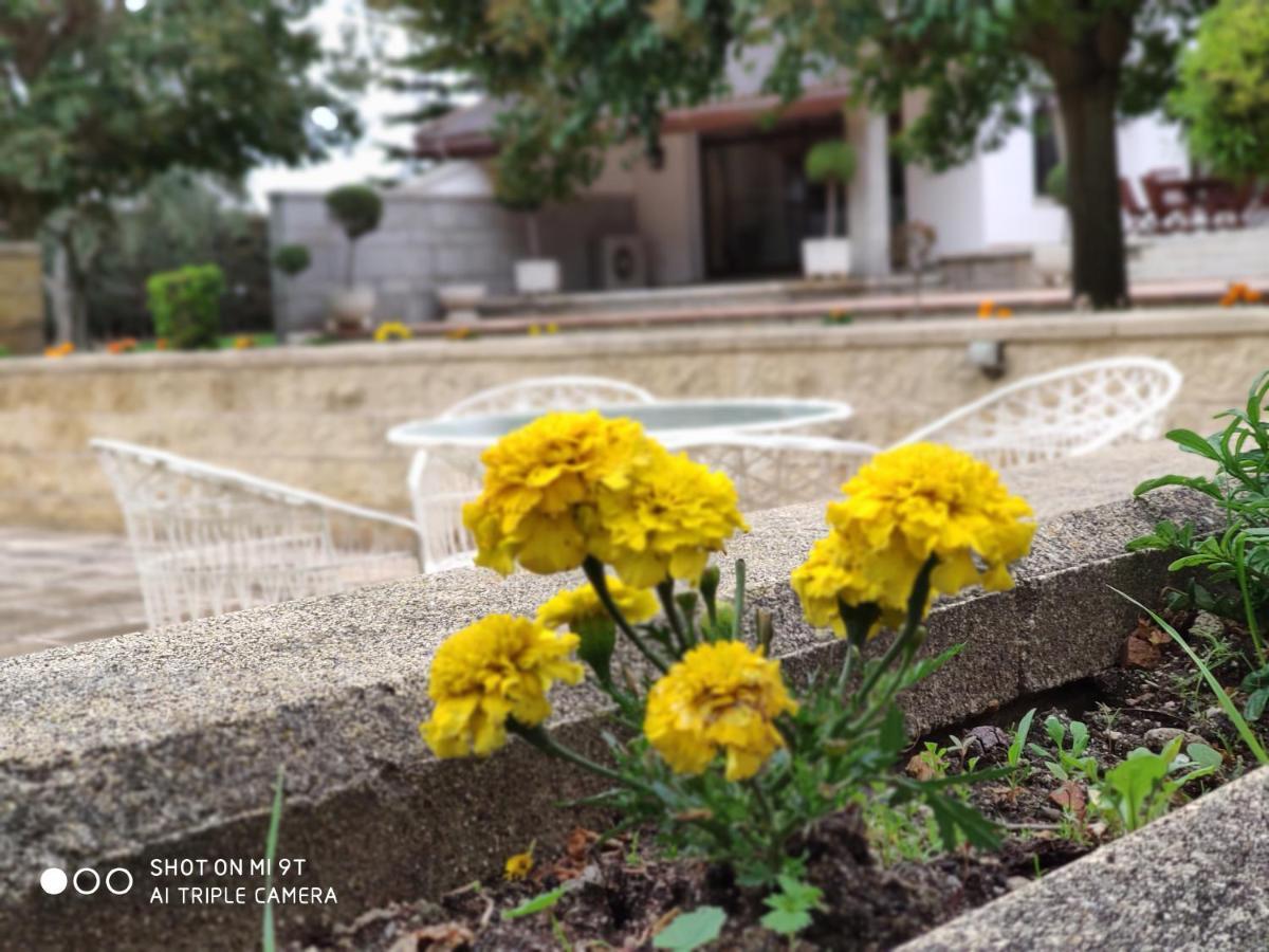 Villa Blanca Con Piscina A 15 Minutos De Toledo - Apartamentos Aloha Toledo Olías del Rey Exteriér fotografie